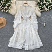Elegant dress with lace and floral embroidery, high-quality high collar.