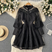 Vintage Flowers Embroidered Hollow Out Lace Dress High Neck Long Lantern Sleeve High Quality Pearl Buttons