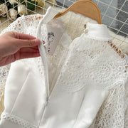 Vintage Flowers Embroidered Hollow Out Lace Dress High Neck Long Lantern Sleeve High Quality Pearl Buttons