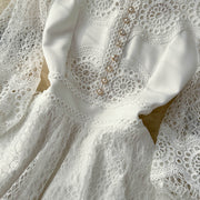 Vintage Flowers Embroidered Hollow Out Lace Dress High Neck Long Lantern Sleeve High Quality Pearl Buttons