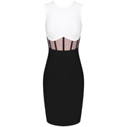 sleeveless bodycon dress with mesh insert in various colors