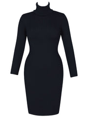 Bodycon Long Sleeve Knit Turtleneck Bandage Dress